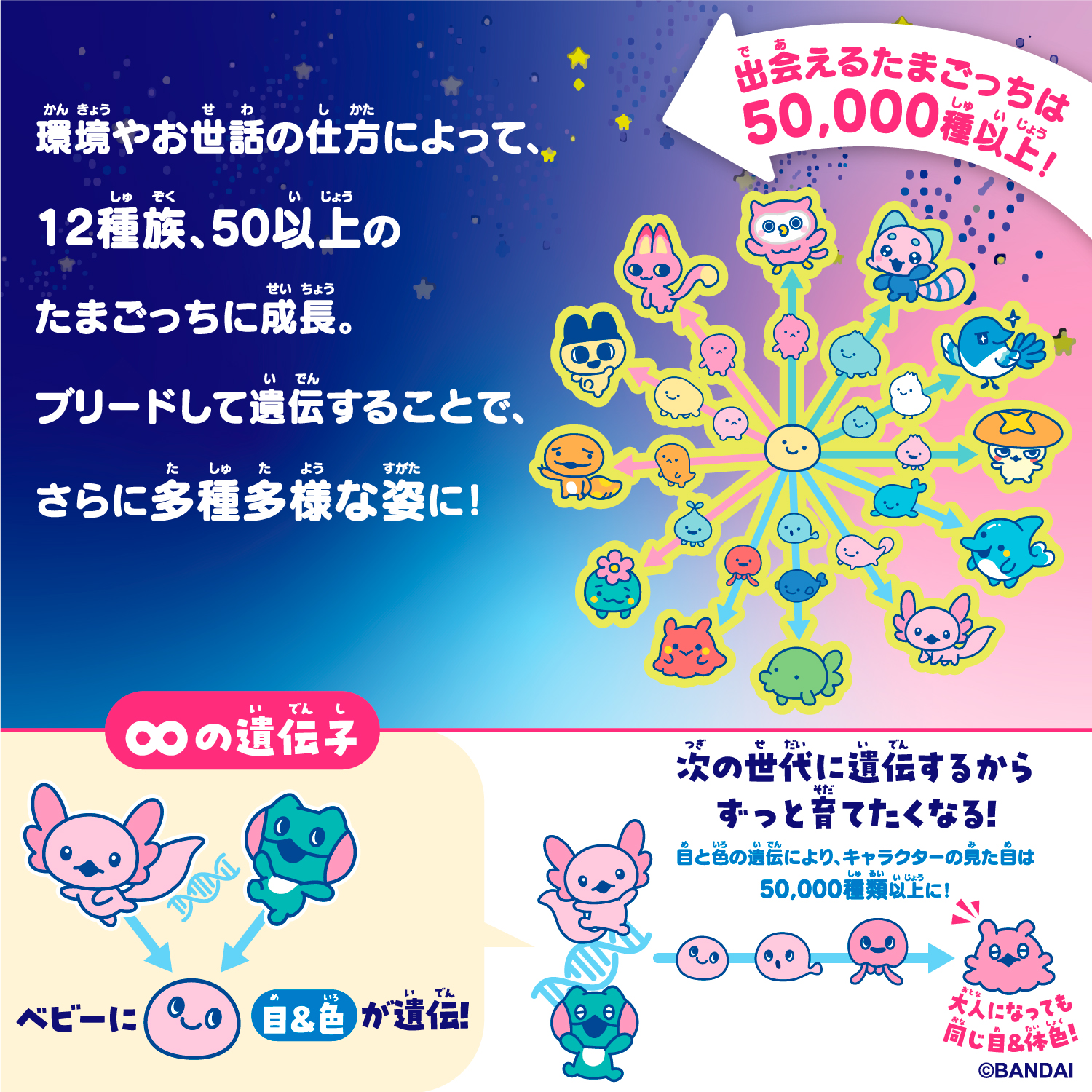Tamagotchi Paradise - Jade Forest_遊び方③